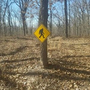 Meet your Posher, Duane